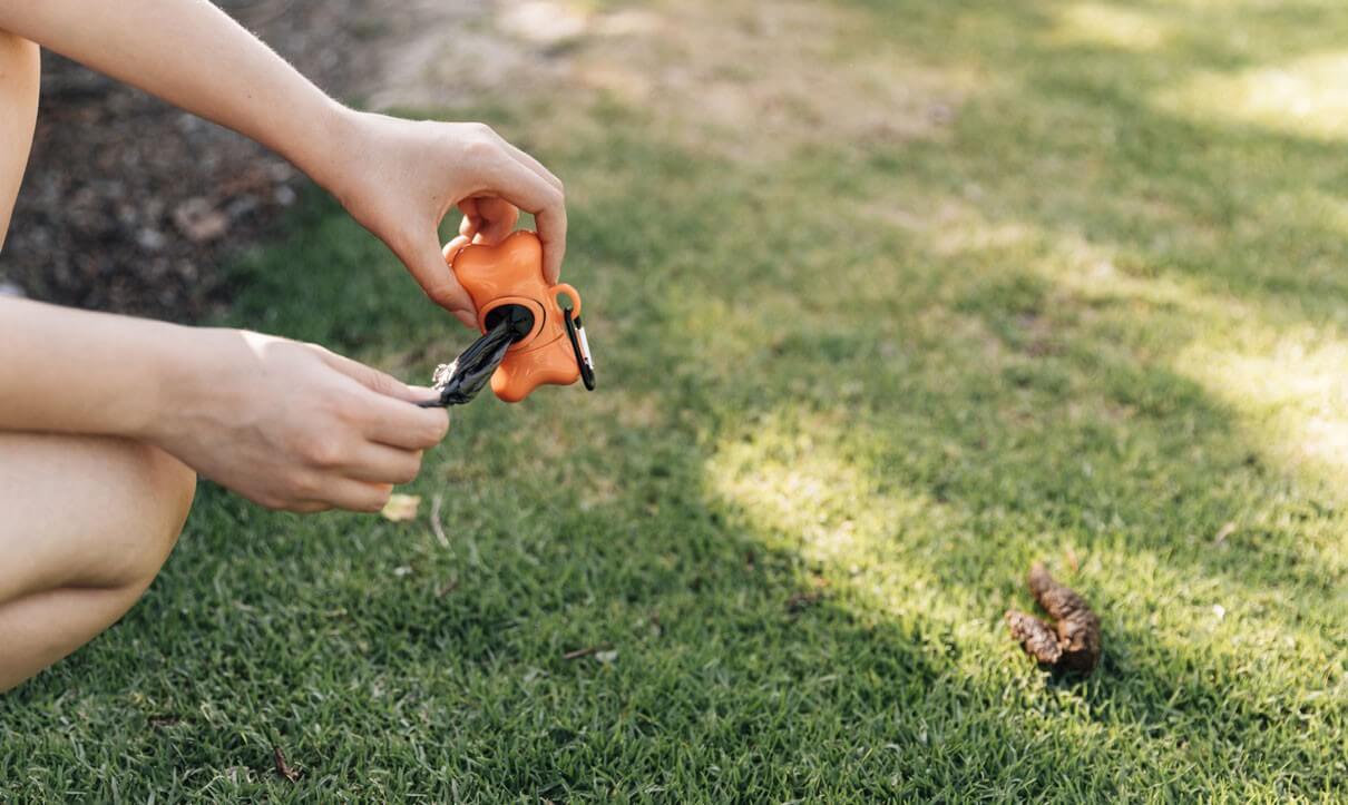 person holding cleaning tools with both hands